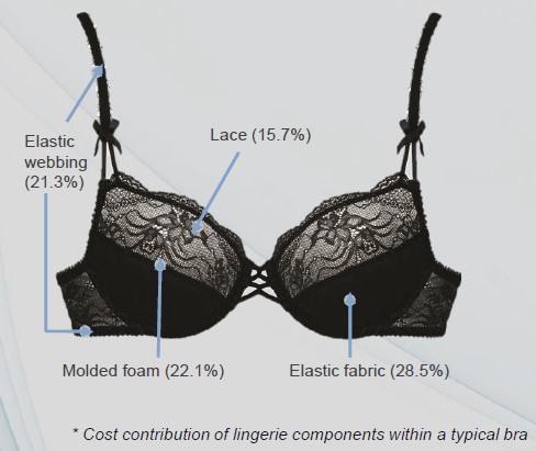 05 - Components of a typical bra